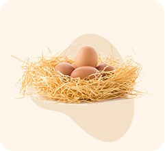 SẢN PHẨM CHẾ BIẾN SẴN