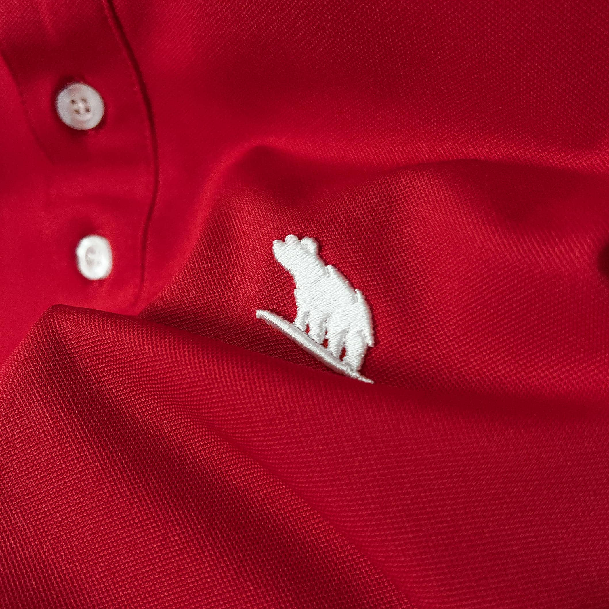 Áo Polo Bigsize Màu Đỏ Thêu Gấu Phối cổ 3 màu