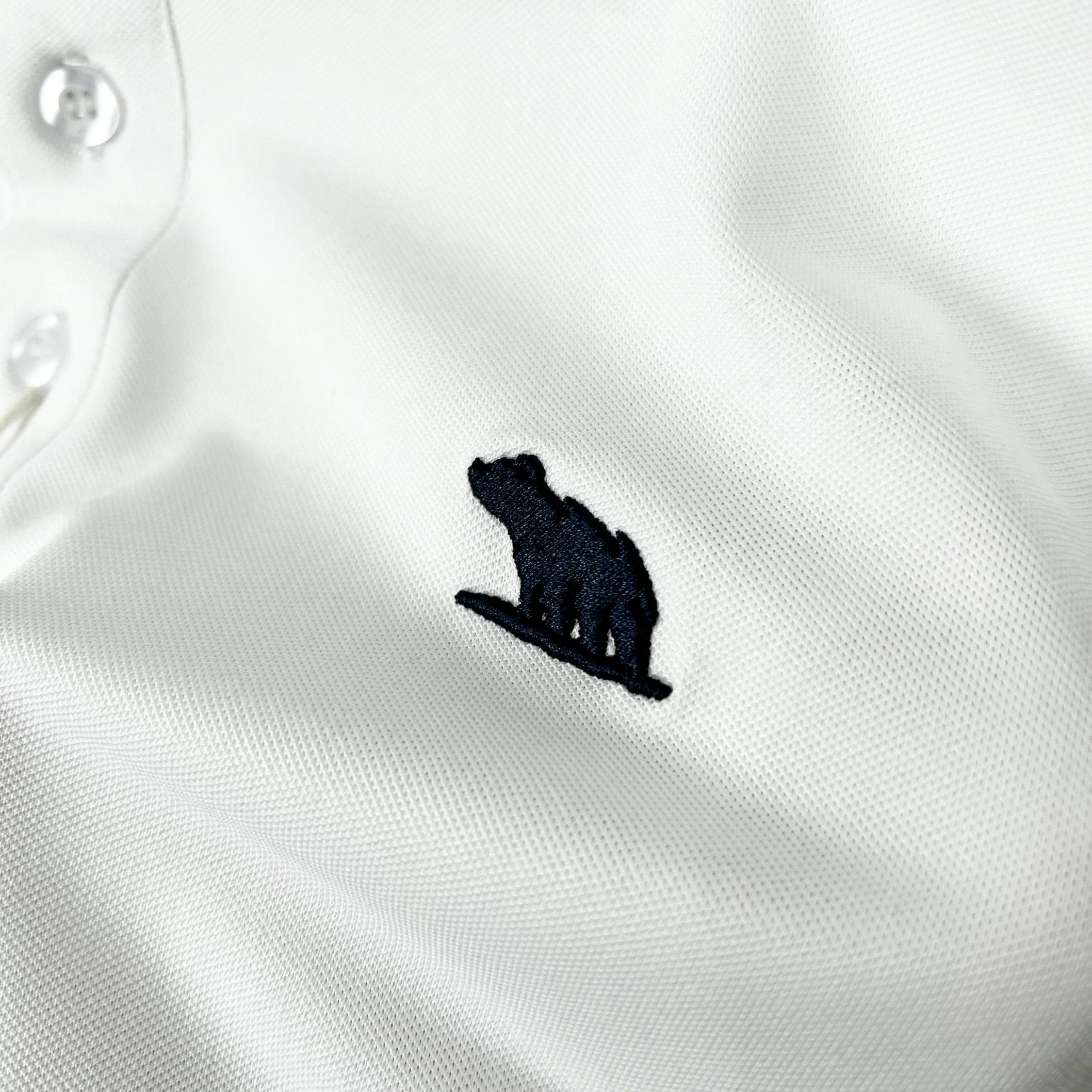 Áo Polo Bigsize Màu Trắng Thêu Gấu Phối cổ 3 màu