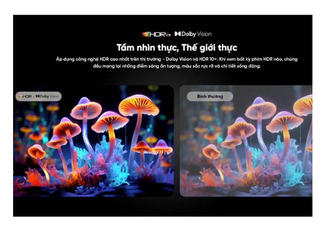 Google Tivi Coocaa 4K 65 Inch 65Y73