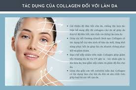 Collagen có tác dụng gì cho làn da
