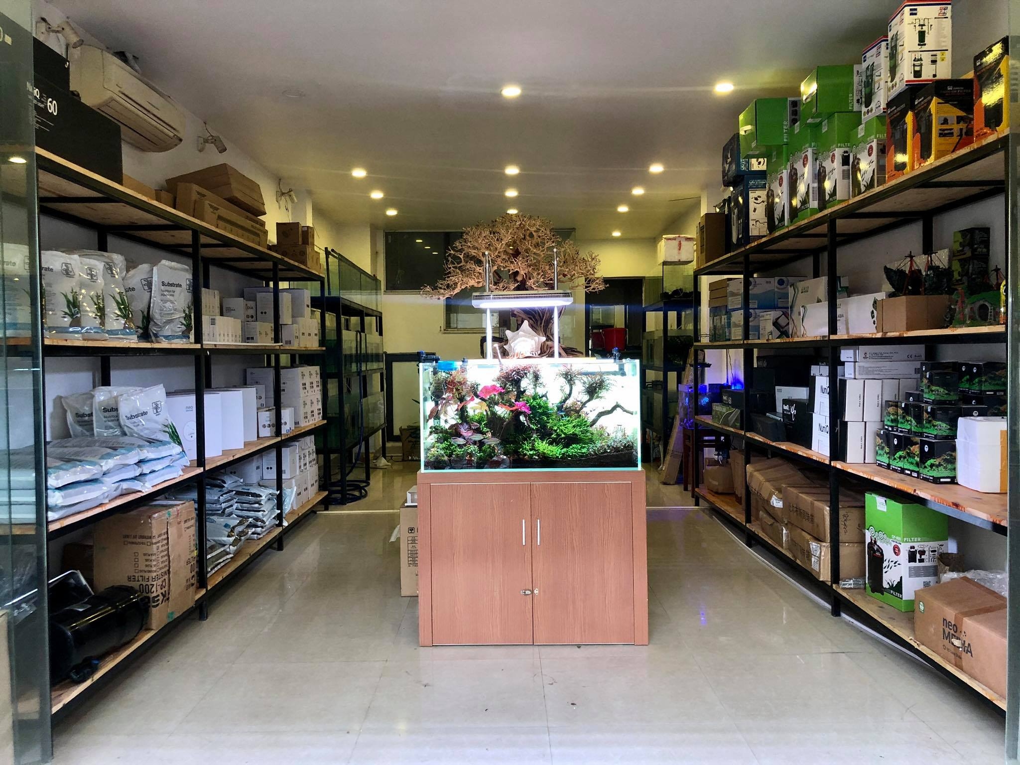 25 cửa hàng cá cảnh, thủy sinh uy tín tại Hà Nội
