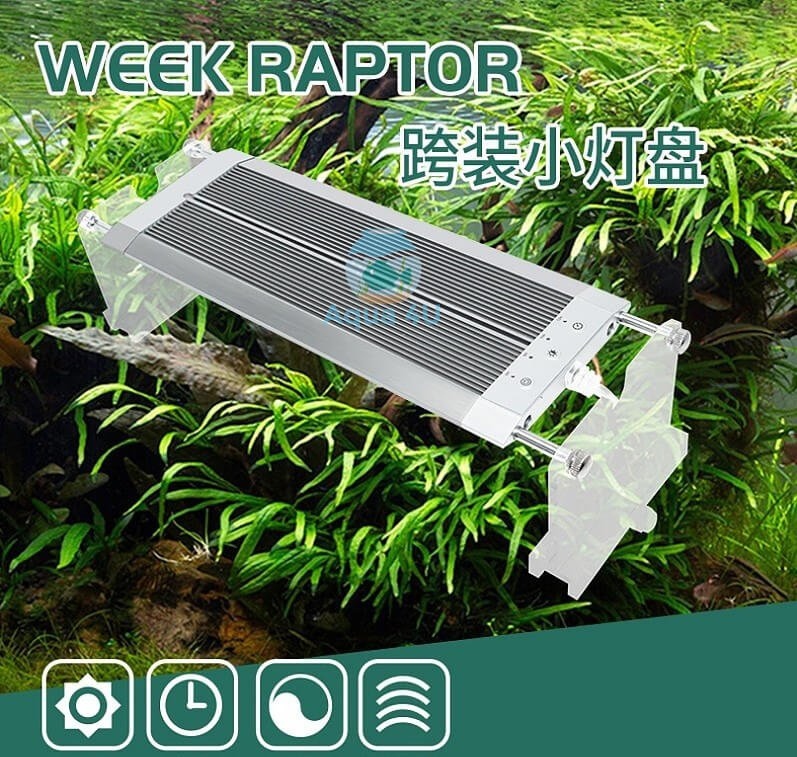 Cách chọn đèn phù hợp cho bể thủy sinh, cá cảnh