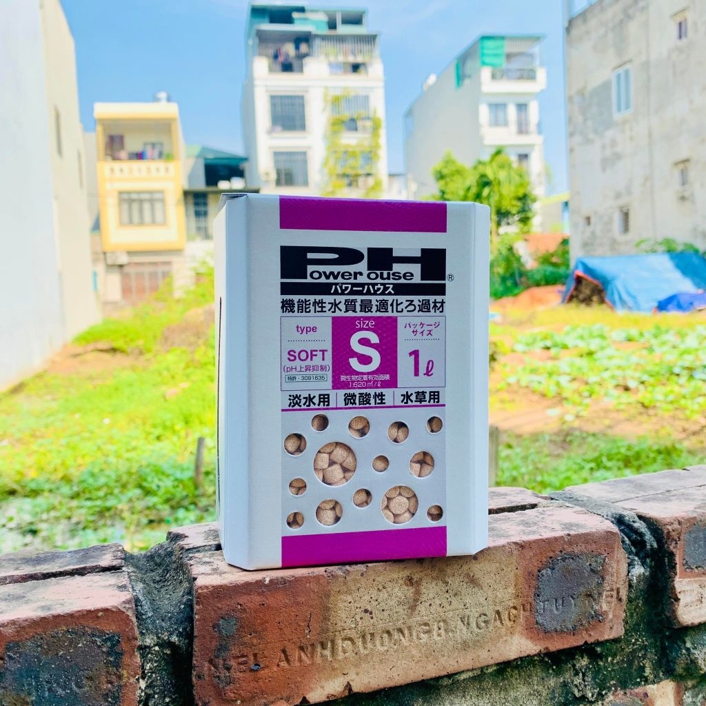 Top 3 vật liệu lọc giảm pH cho bể thủy sinh, cá cảnh