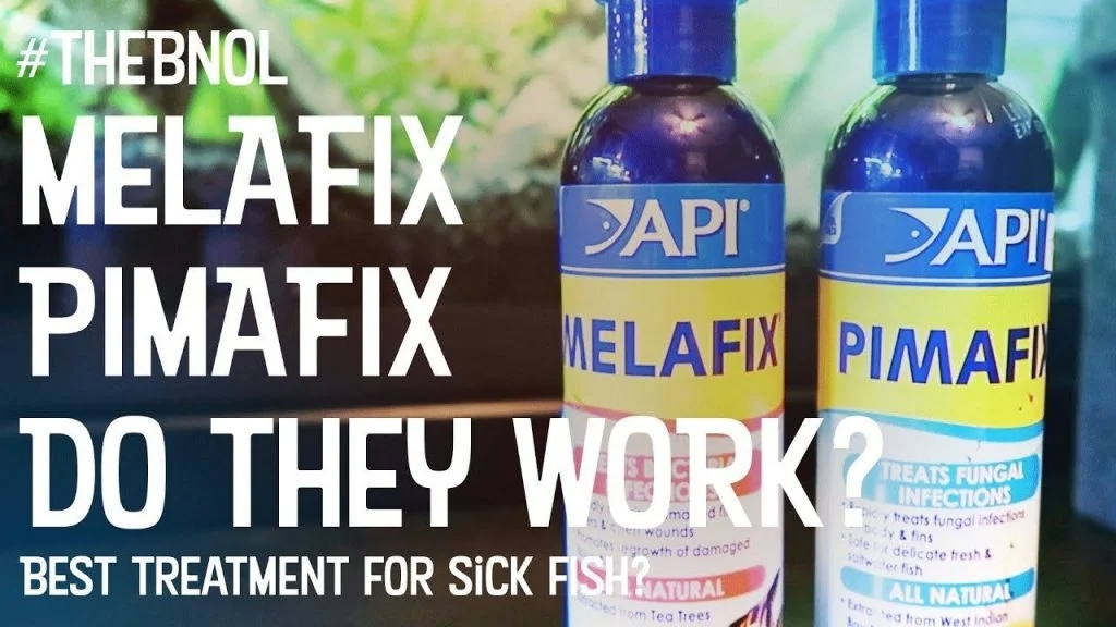 Melafix và Pimafix hiệu quả như nào nếu kết hợp?
