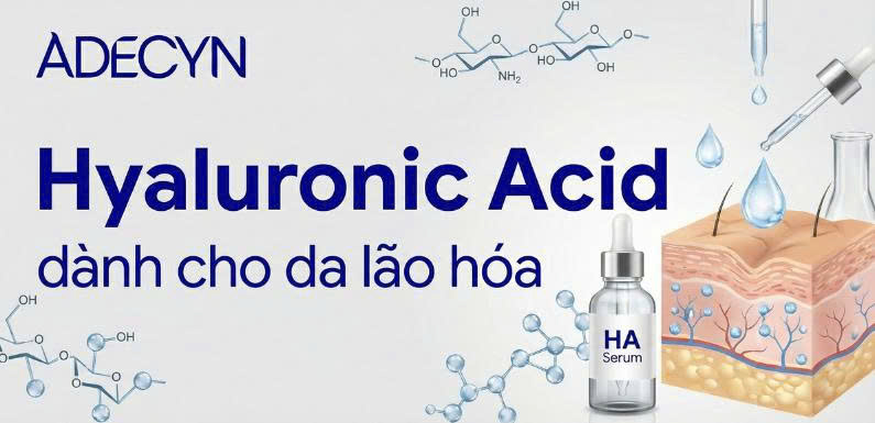 Hyaluronic Acid dành cho da lão hóa