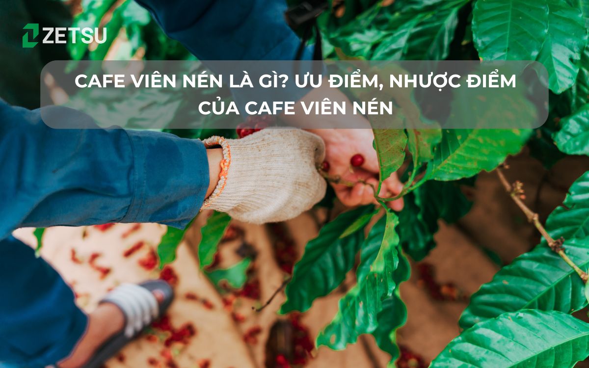 Tại sao Tây Nguyên trồng được nhiều cafe nhất Việt Nam