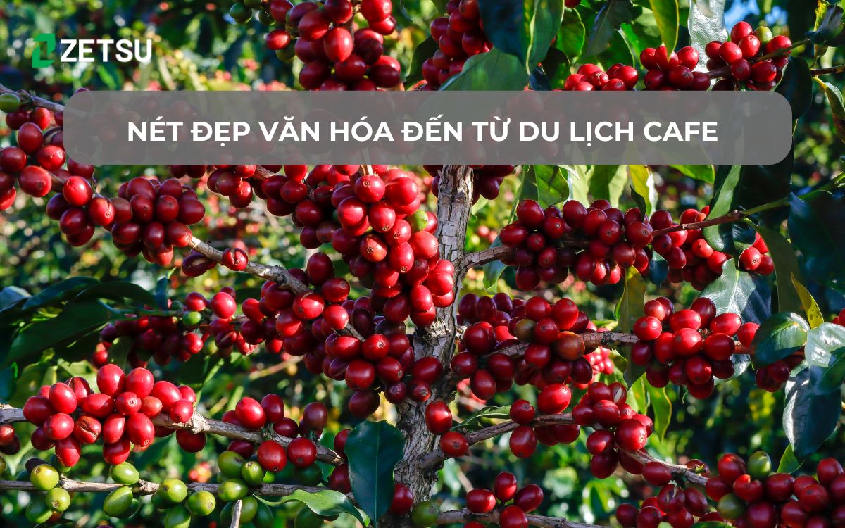 Nét đẹp văn hóa đến từ du lịch cafe
