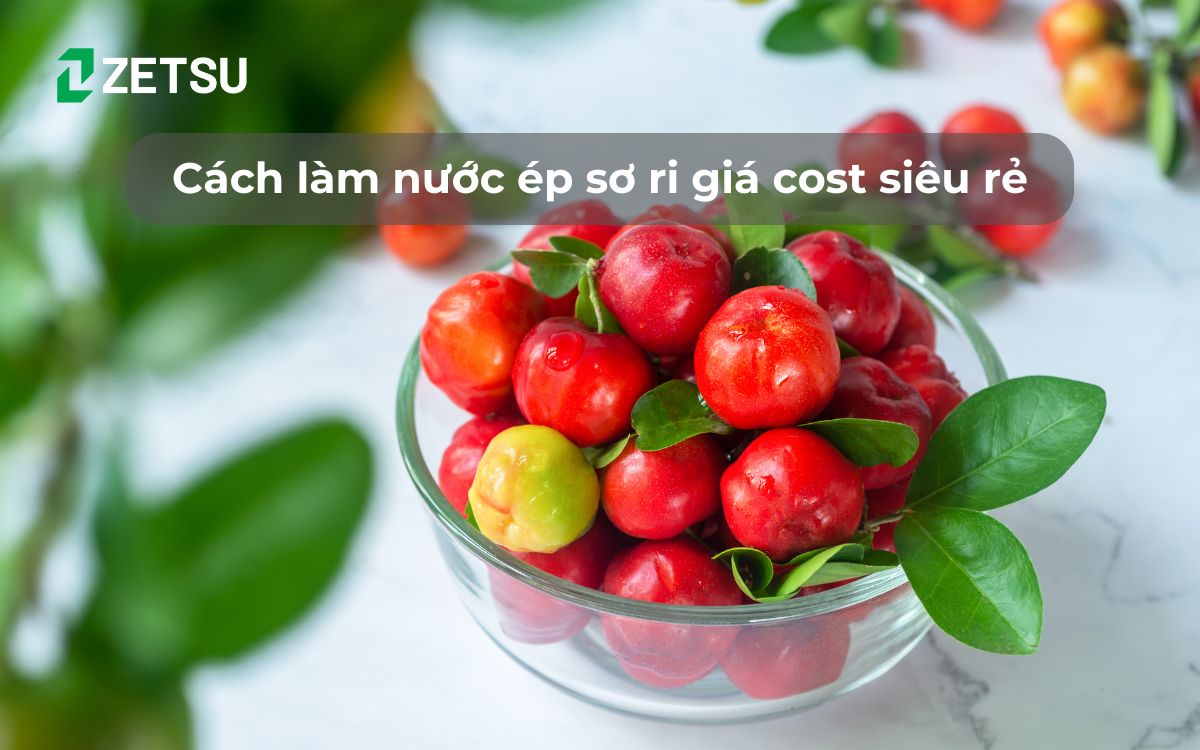 Cách làm nước ép sơ ri giá cost siêu rẻ