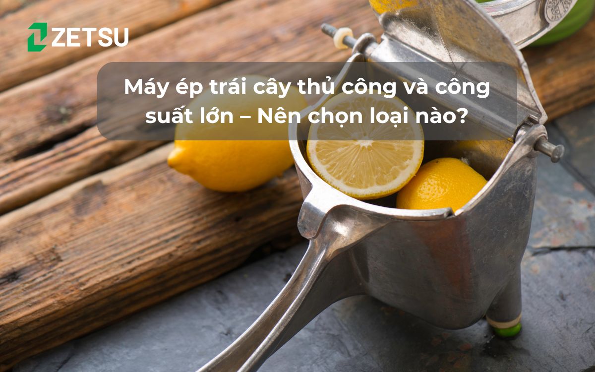 Máy ép trái cây thủ công và công suất lớn – Nên chọn loại nào?