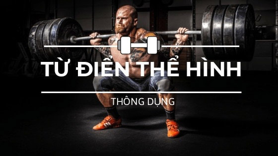 Từ điển thông dụng cho gymer