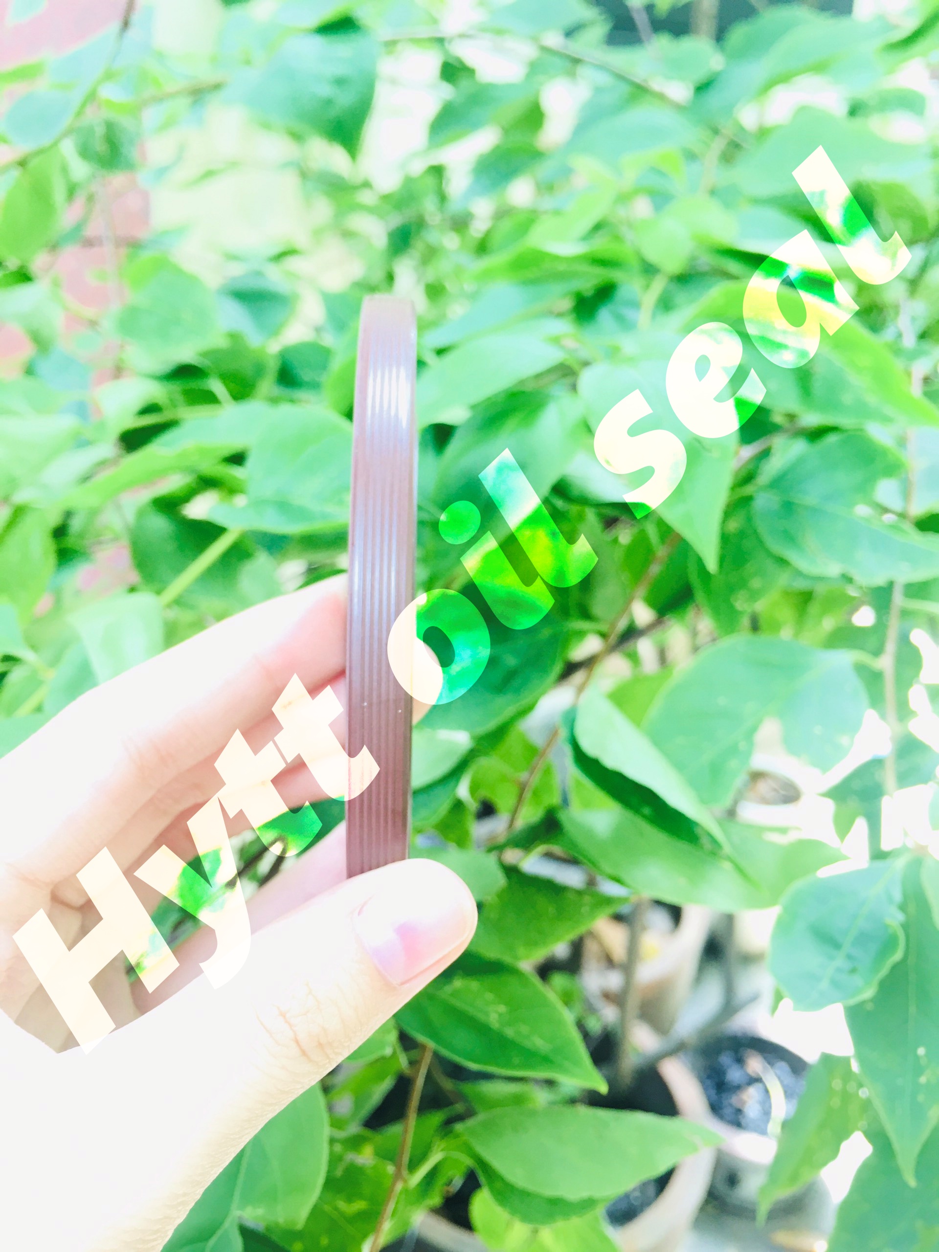 PHỐT XE HƠI TB 56*112*8/10