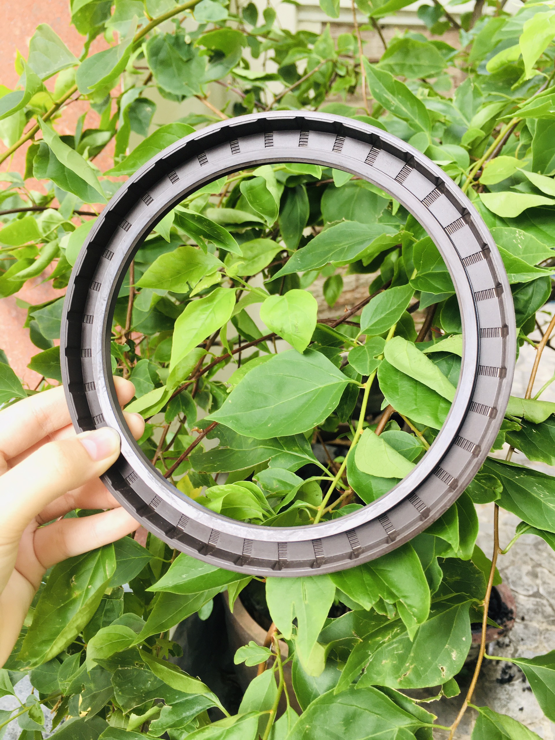 PHỐT CHẮN DẦU TG/TC SVKS 140*170*14