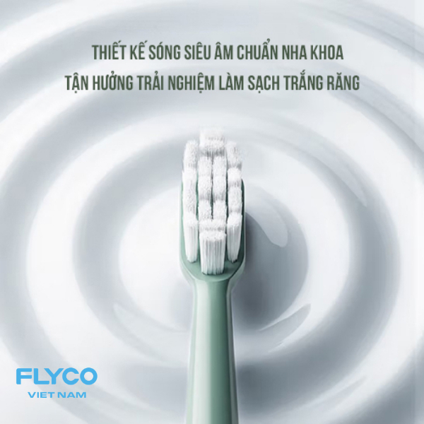 Bàn chải điện Flyco FT1701VN