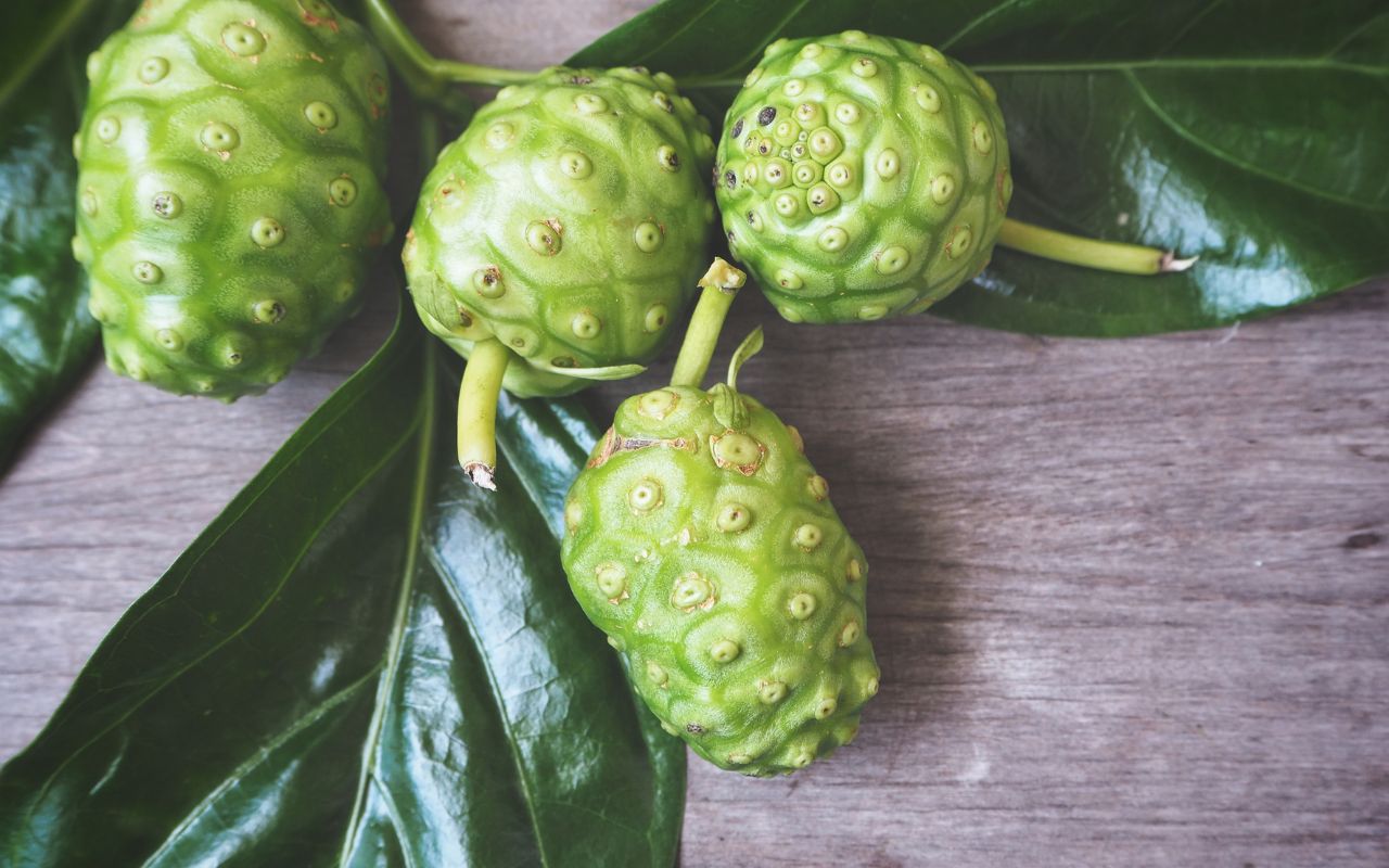 Trái nhàu tốt cho tim mạch: Lợi ích và cách sử dụng hiệu quả