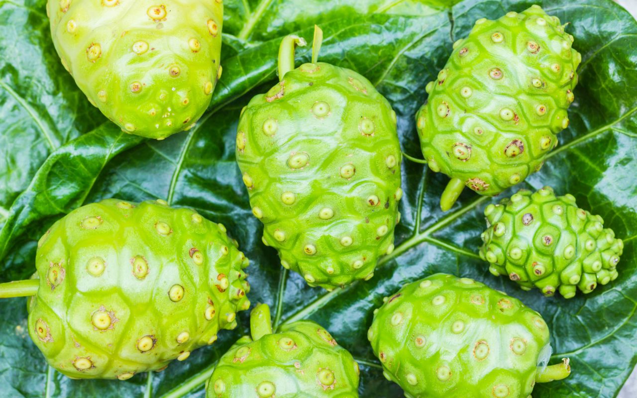 Khám Phá Tác Dụng Quả Nhàu: 