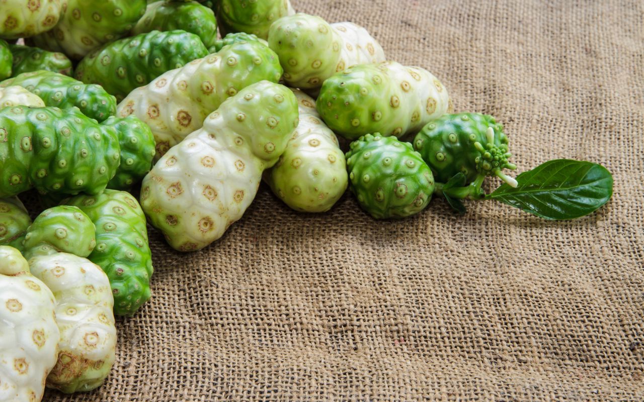 Trái nhàu ngâm đường – Món ăn ngọt và bổ dưỡng cho sức khỏe