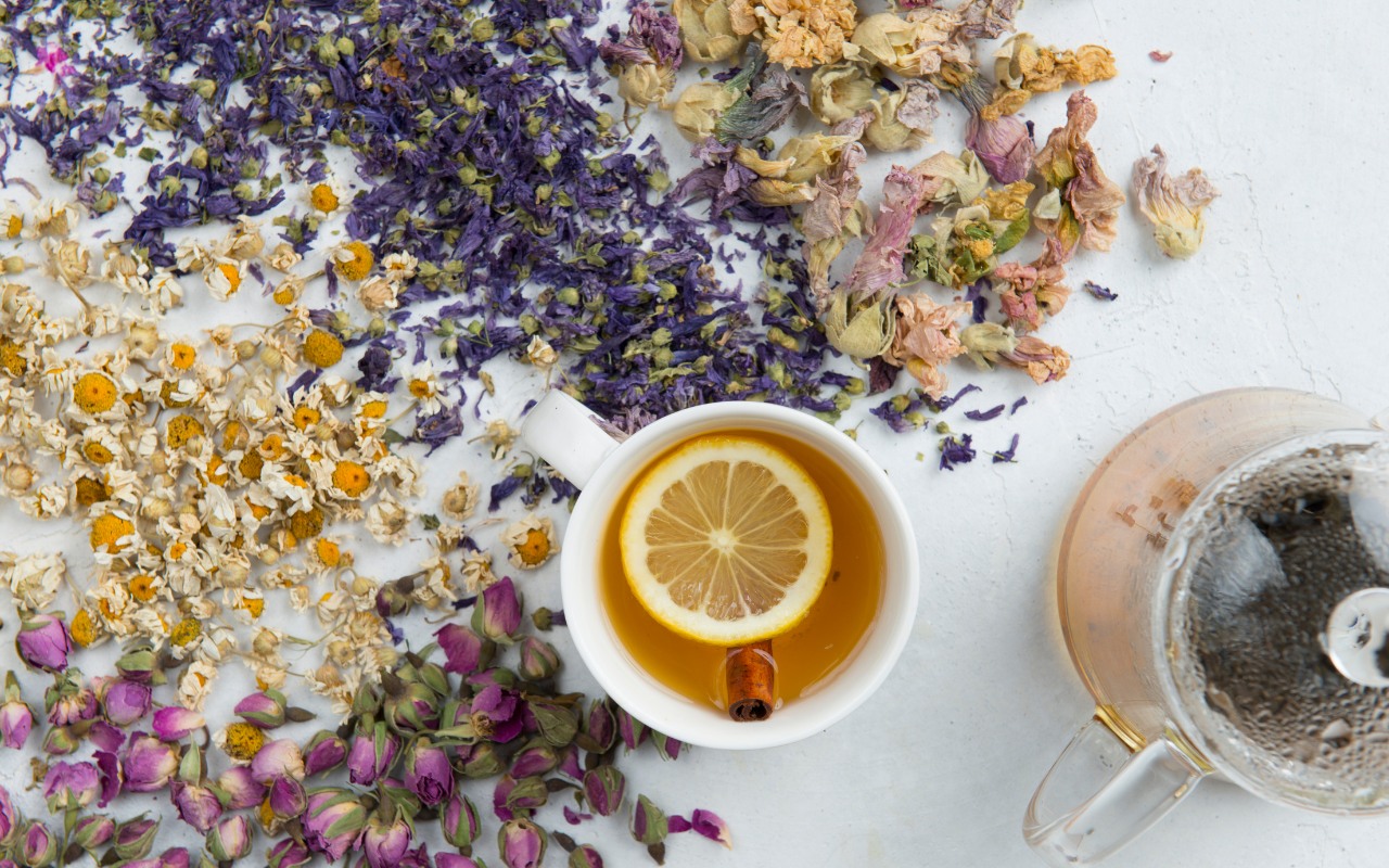 Trà Thảo Mộc Thanh Nhiệt Có Công Dụng Gì? Cách Pha Đạt Hiệu Quả