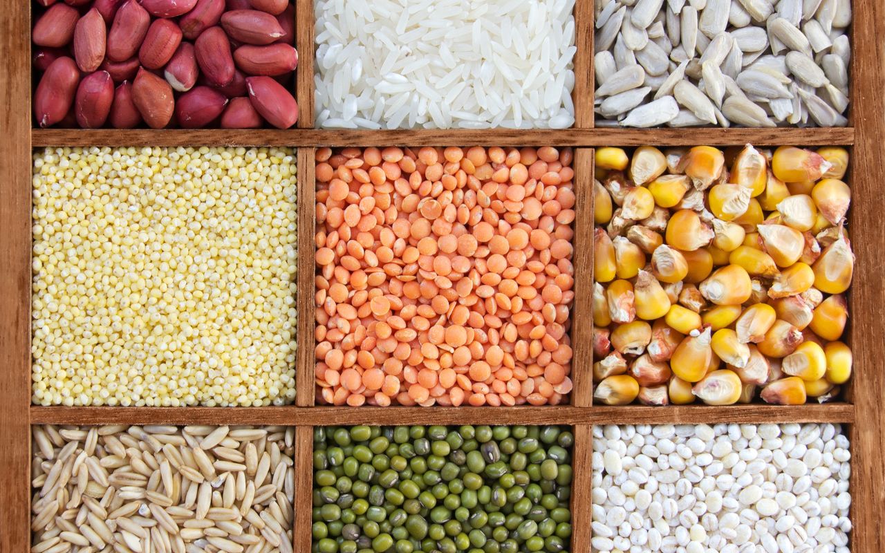 Bột Ngũ Cốc Gồm Những Loại Nào?
