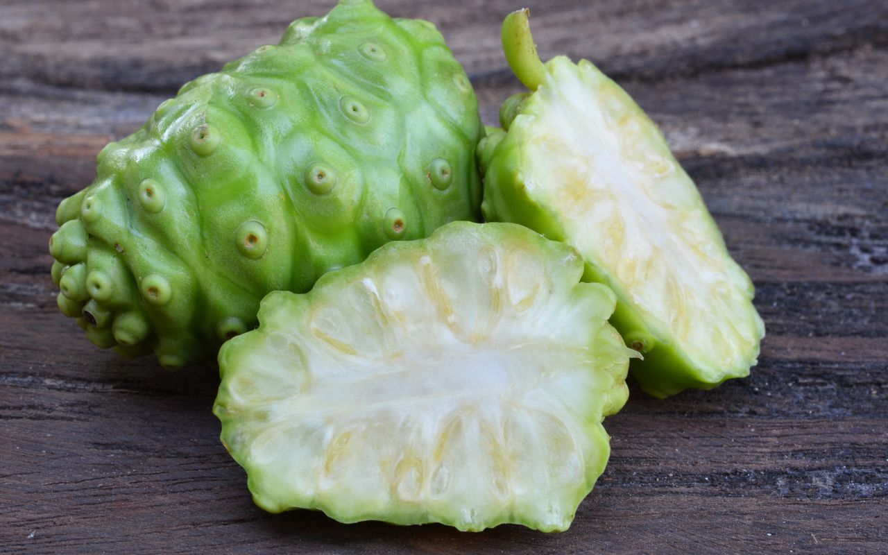 Trái nhàu dưỡng tóc: Tác dụng và cách sử dụng để nuôi dưỡng mái tóc khỏe mạnh