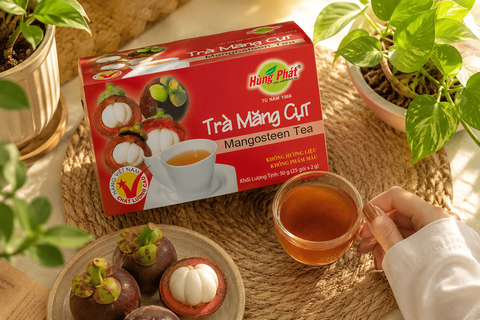 Trà Măng Cụt Là Gì? Gợi Ý Cho Người Thích Trà Trái Cây Thanh Nhẹ
