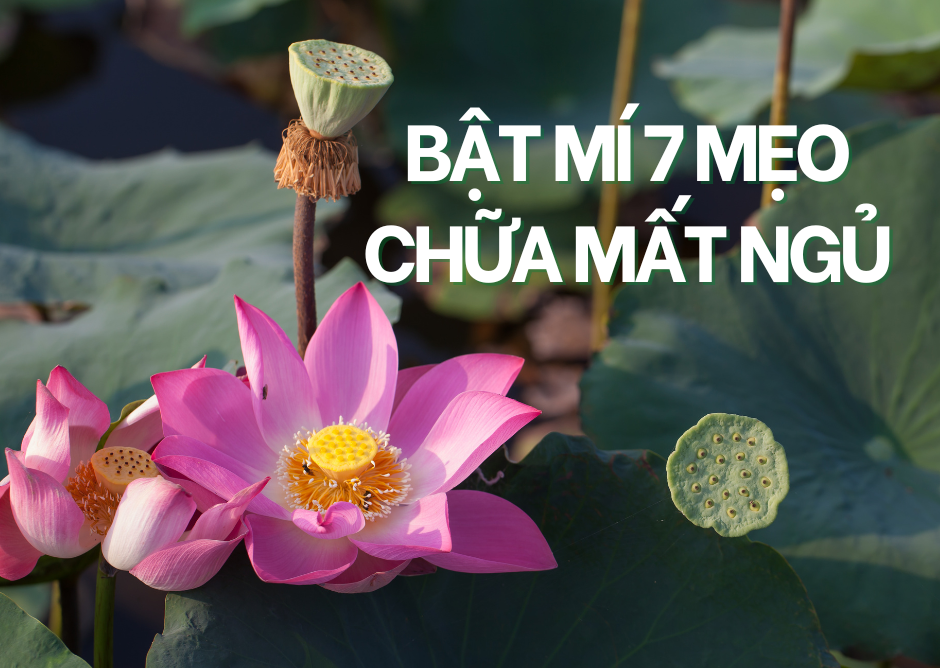 Bật mí 7 mẹo chữa mất ngủ dân gian dễ thực hiện ngay tại nhà