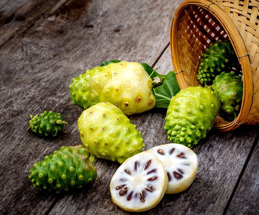 Trà Trái Nhàu Hùng Phát – Hương Vị Mộc Mạc Giữa Nhịp Sống Hiện Đại