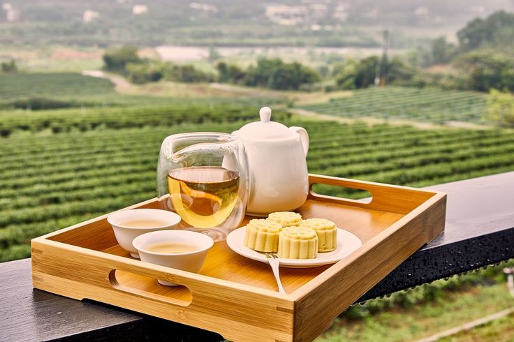 Trà Thanh Nhiệt Mát Gan Tiêu Độc Có Tác Dụng Gì? Khi Nào Nên Uống
