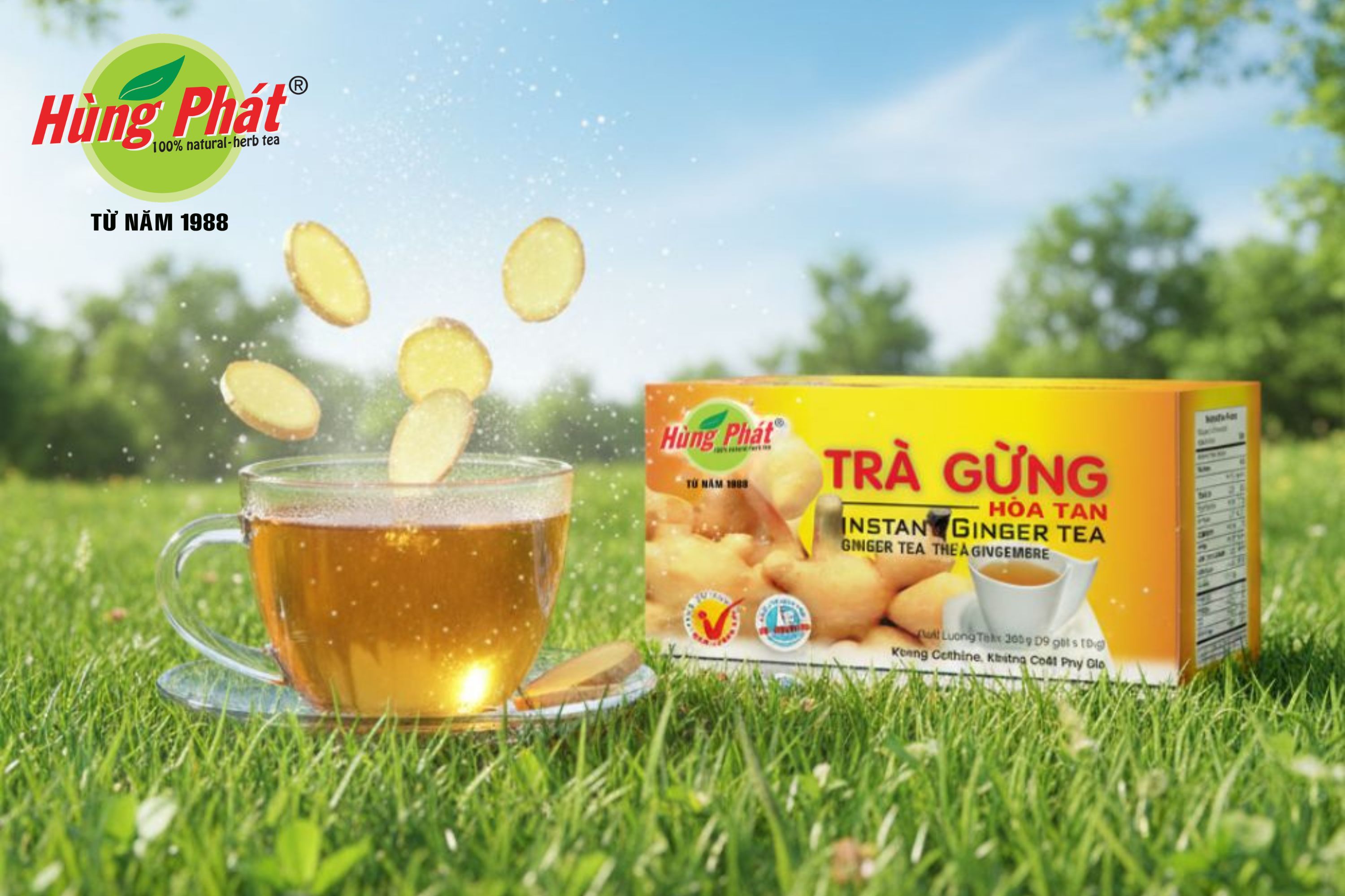 Một Buổi Sáng Bắt Đầu Với Một Ly Trà Gừng Nóng