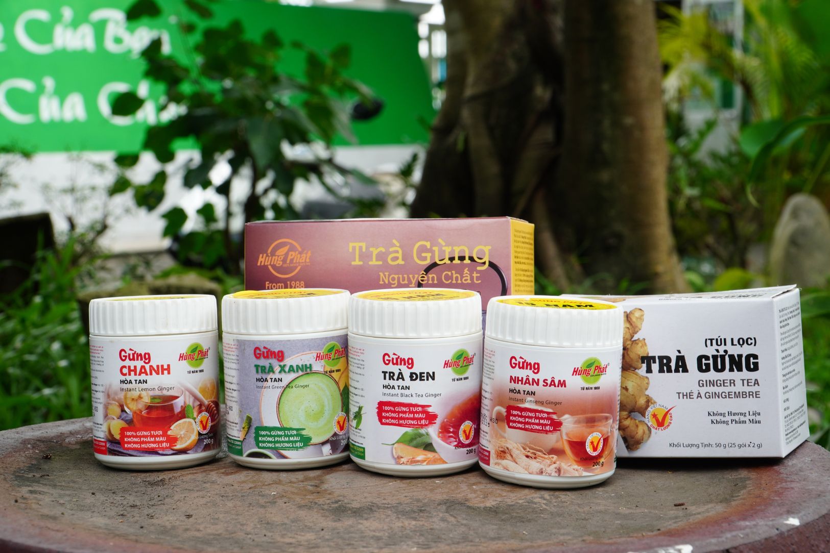 5 Lý Do Nên Uống Tinh Gừng Khi Ăn Bánh Trung Thu