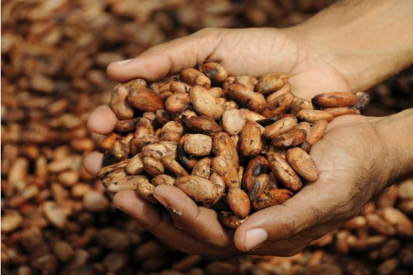Good Cacao – Good Mood: Bí Quyết Duy Trì Tinh Thần Tích Cực Mỗi Ngày