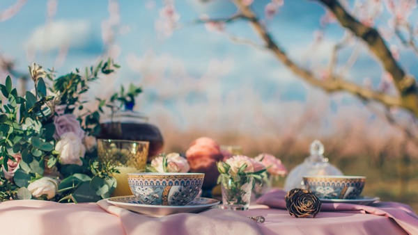 Cách pha và uống trà Long Châu