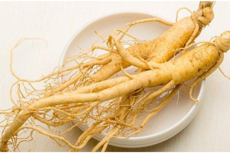 Cách Sử Dụng Sâm Đất: Ăn Sống, Nấu Canh Hay Ngâm Rượu?