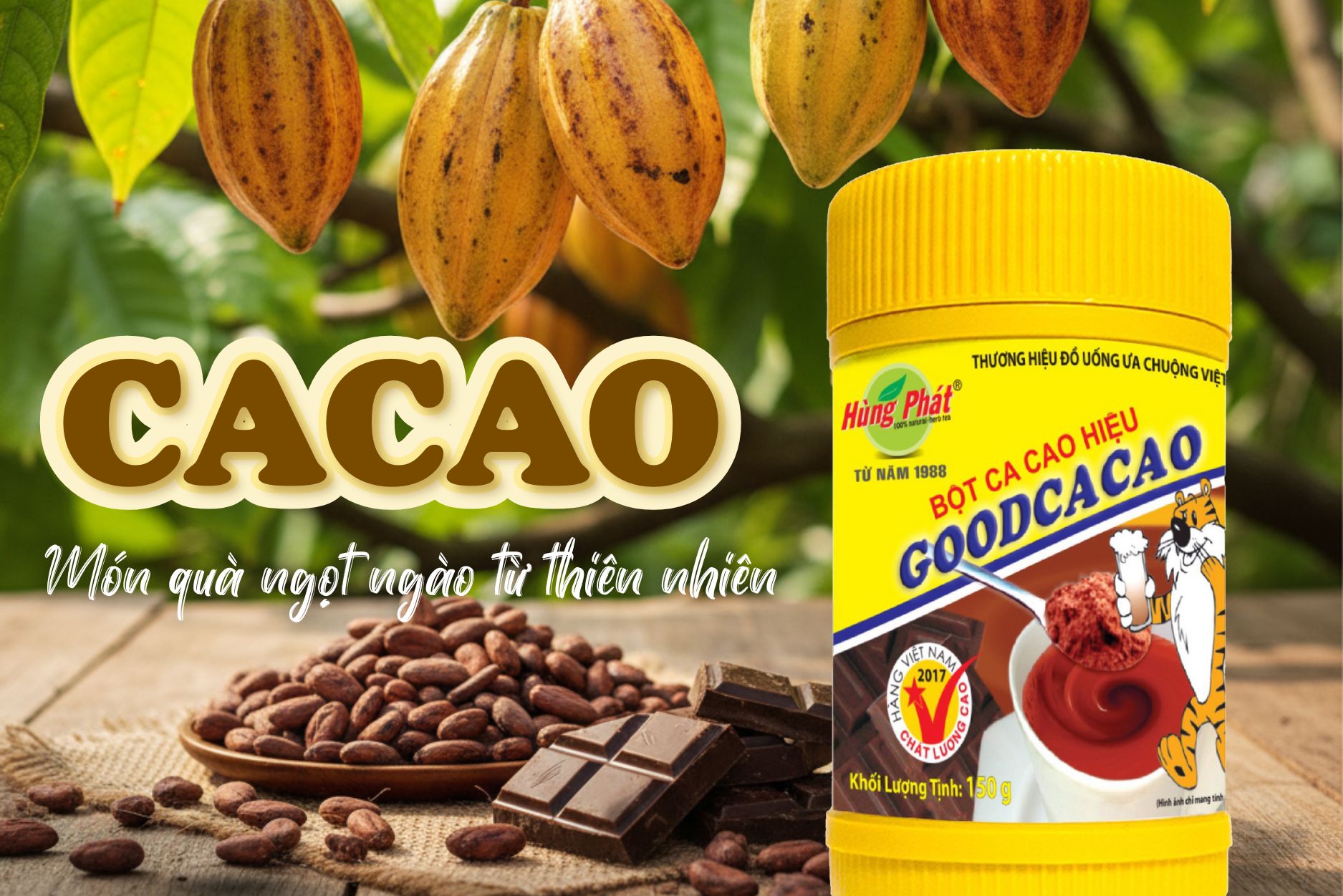Good Cacao – Thức Uống Từ Thiên Nhiên Cho Năng Lượng An Nhiên