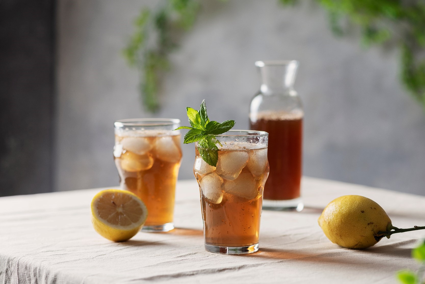 Trà Tam Diệp Cold Brew: Nâng Tầm Vị Thanh Mát Với Công Thức Ủ Lạnh Tinh Tế