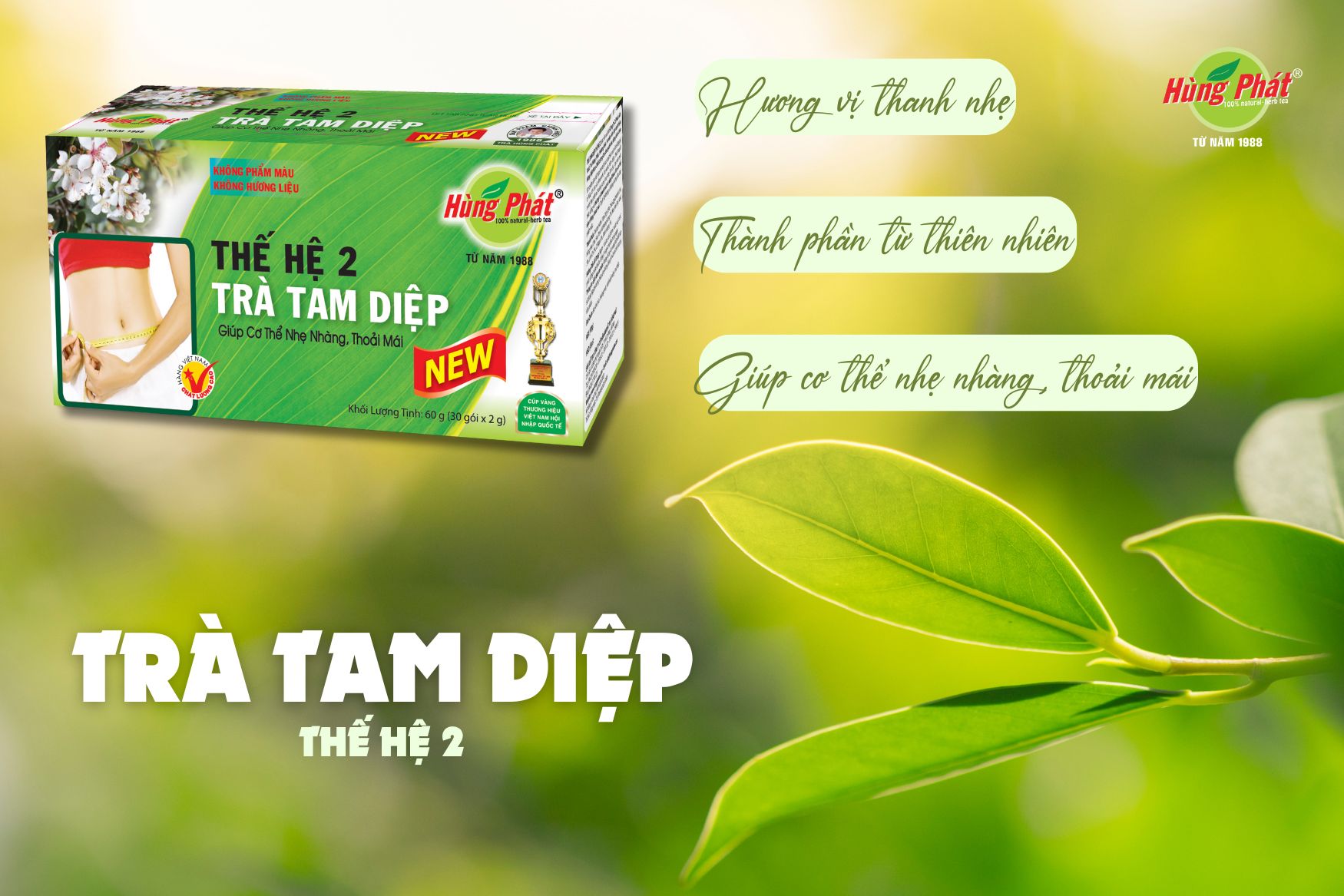 Ai Nên Uống Trà Tam Diệp Thế Hệ 2? Bí Quyết Cân Bằng Cho Người Bận Rộn Và Yêu Cơ Thể Mình