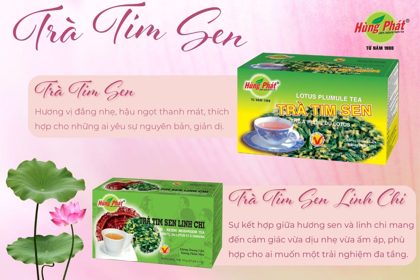 Trà Tim Sen – Tinh Hoa Sen Việt Cho Lối Sống An Nhiên
