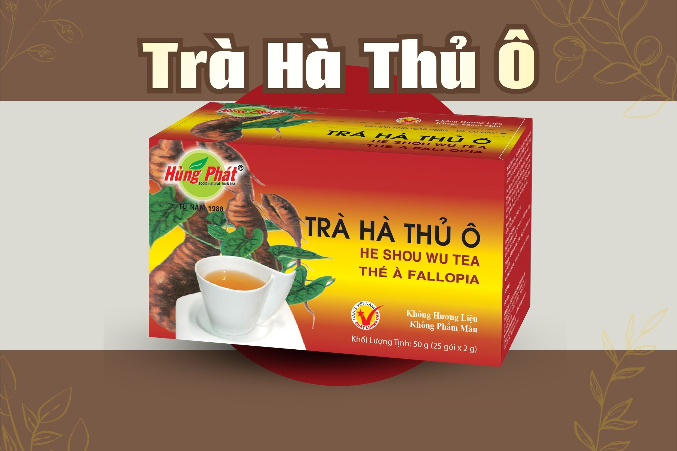Không Gian Lý Tưởng Để Thưởng Thức Trà Hà Thủ Ô – Khi Hơi Thở Gặp Thiên Nhiên