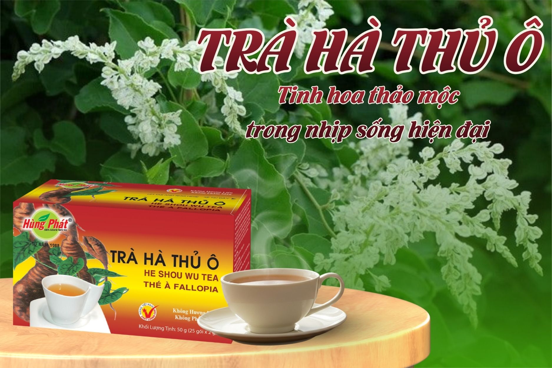 Trà Hà Thủ Ô Hùng Phát – Tinh Chất Thảo Mộc Trong Nhịp Sống Hiện Đại