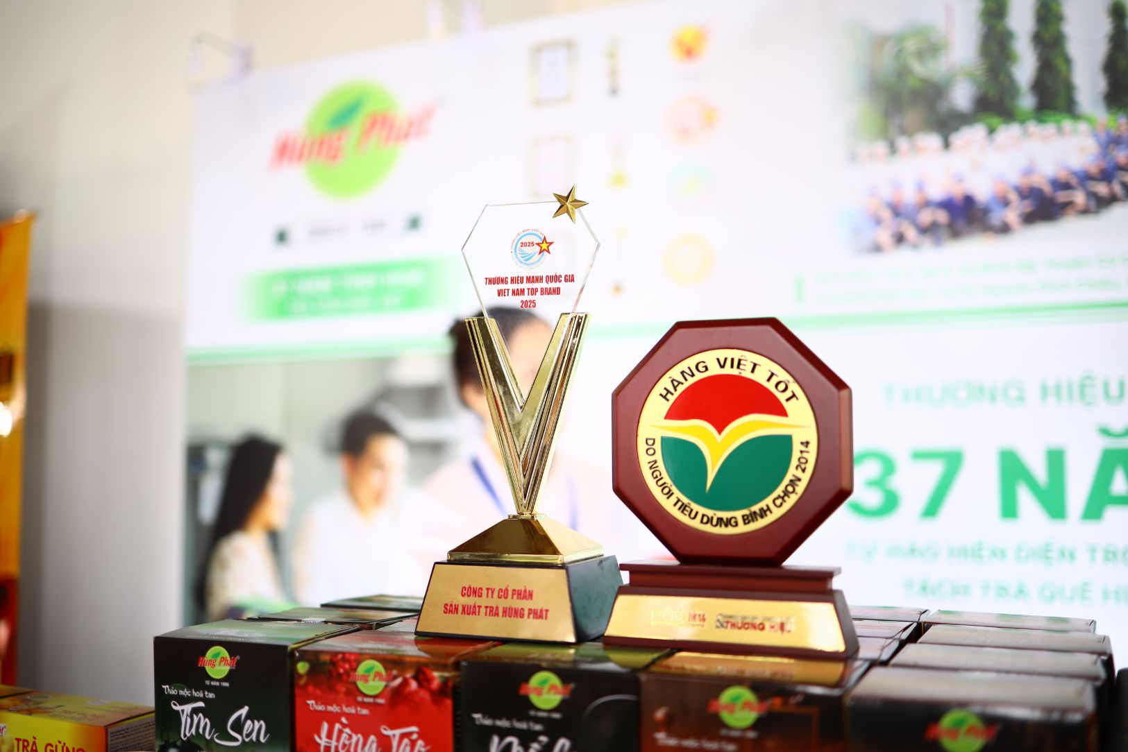 Gừng Và Bốn Loại Trà Tinh Hoa: Hành Trình 37 Năm Chắt Lọc Để Tạo Nên Chất Lượng Thật