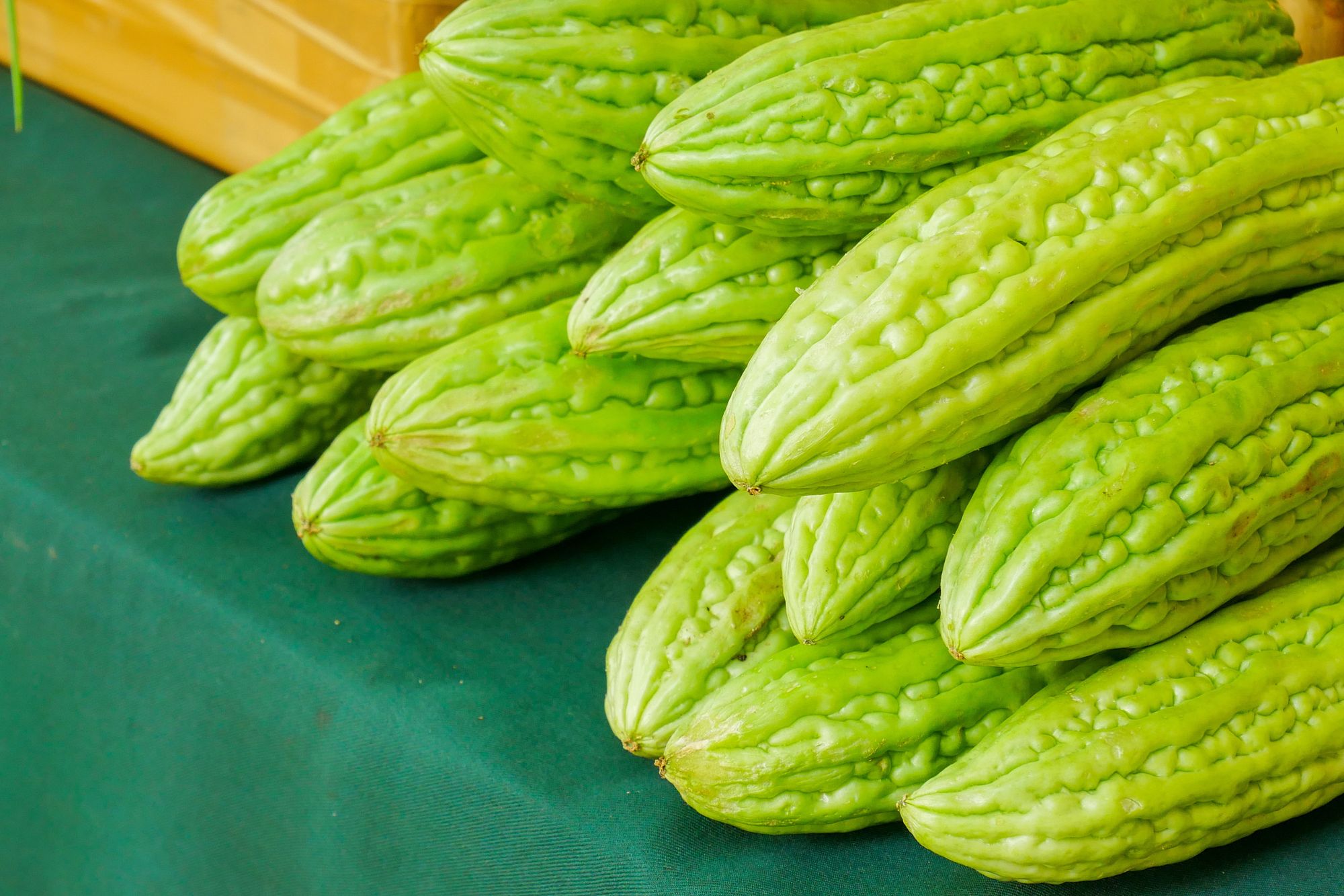 Vị Đắng Cho Lối Sống Khỏe