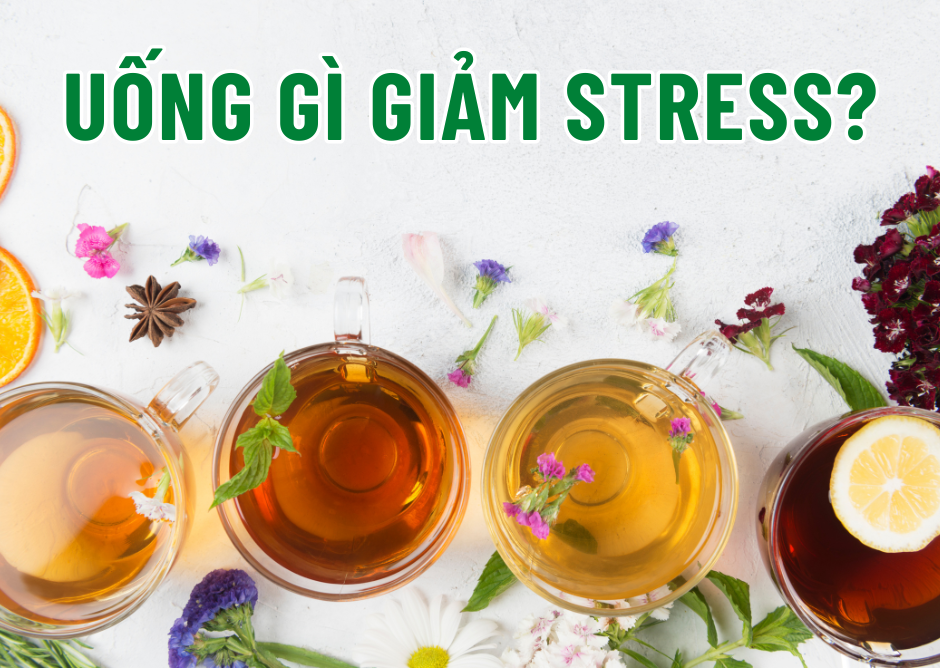 Làm sao để giảm stress? Top 5 thức uống giúp bạn bình tâm và thư giãn