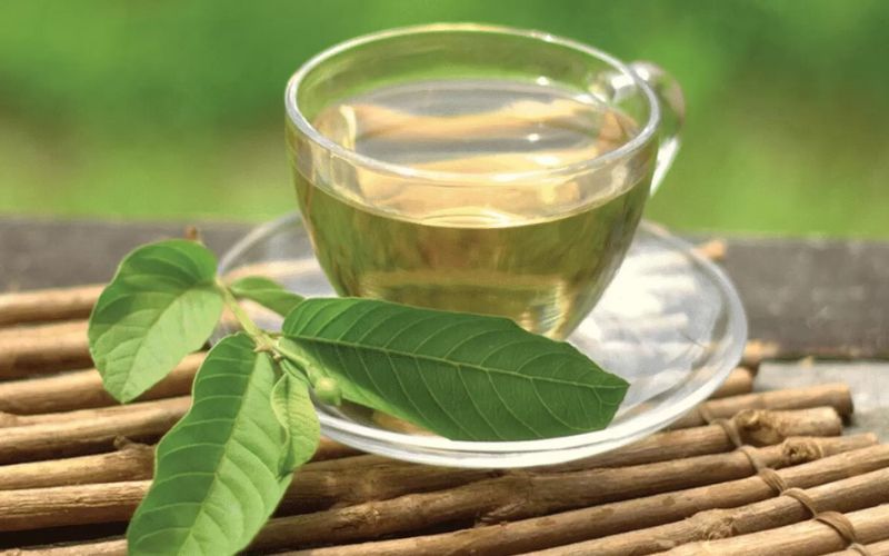 Khi Lá Ổi Việt Hóa Thân Thành Tách Trà Thanh Mát