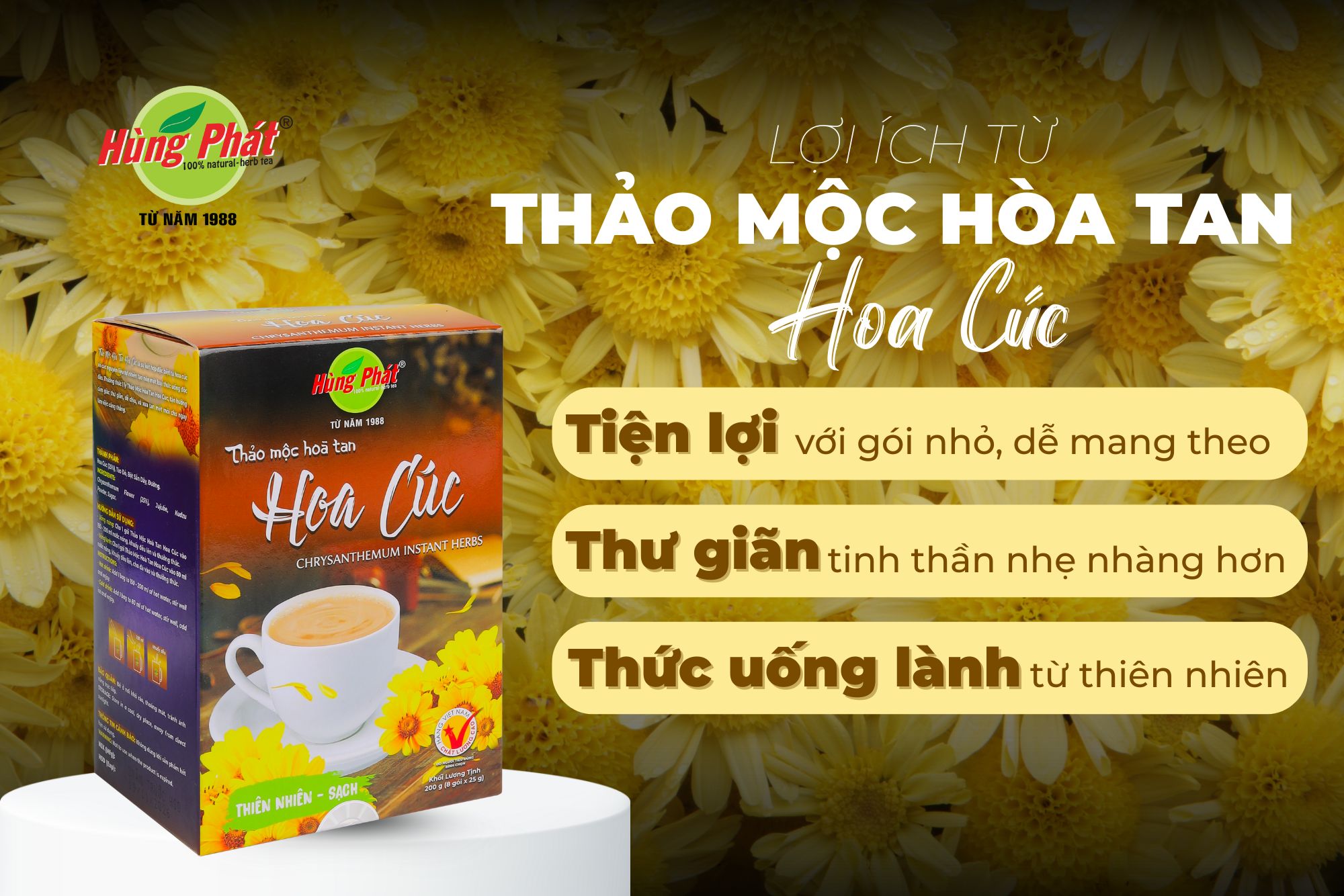 Lợi Ích Gần Gũi Của Thảo Mộc Hoa Cúc Hòa Tan