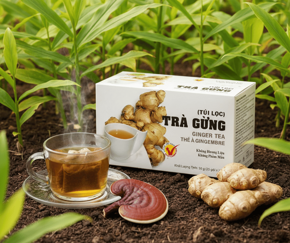 Linh Chi Trong Trà – Vai Trò Cân Bằng Hương Vị