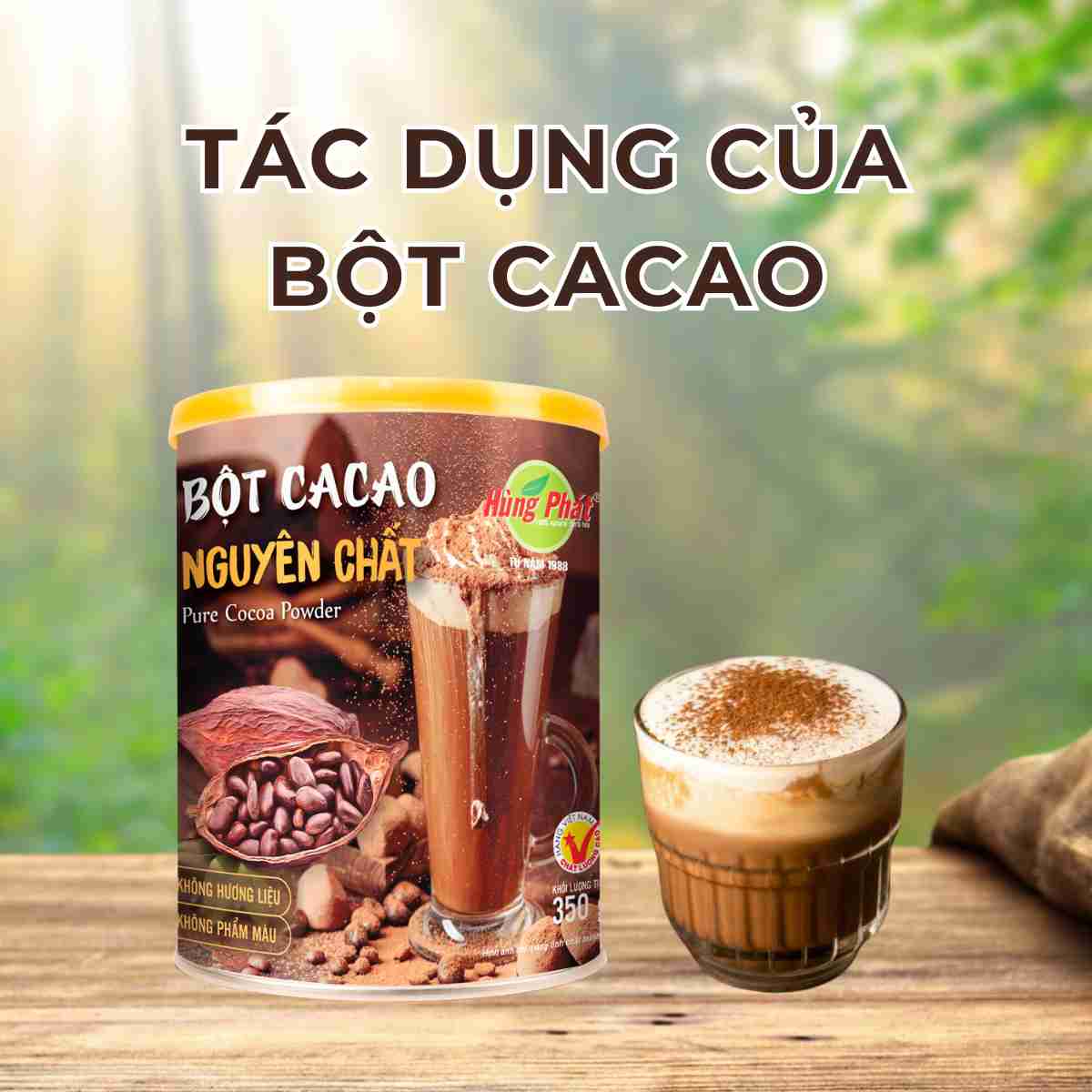 Tác dụng của bột cacao và công thức pha chế cacao muối hấp dẫn