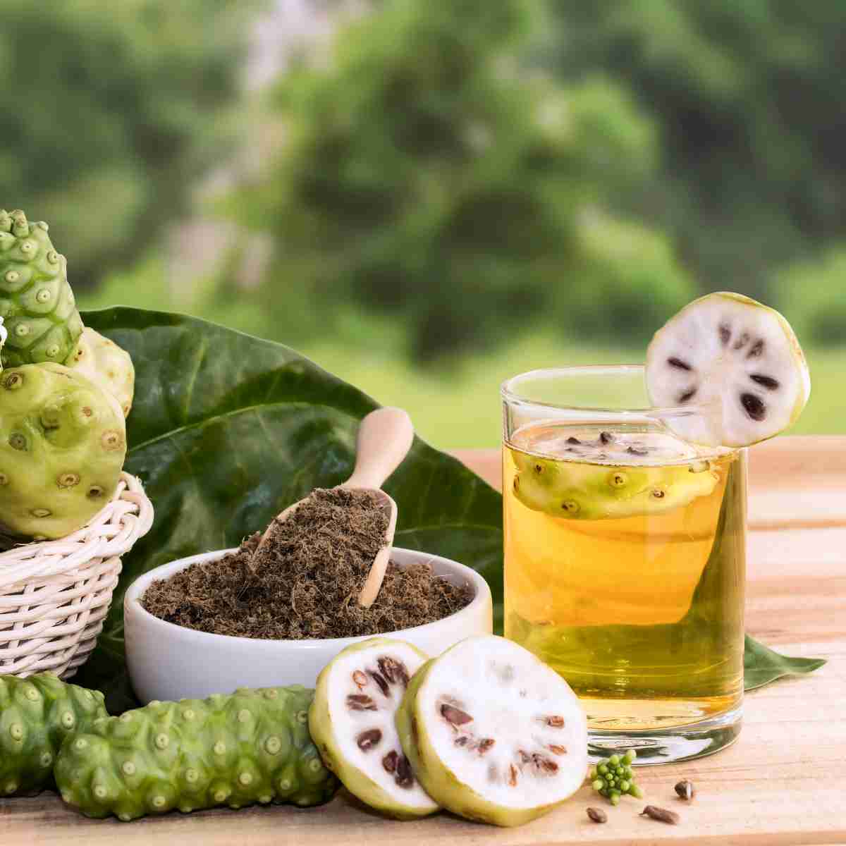 Lợi ích và tác dụng của trái nhàu đối với sức khỏe