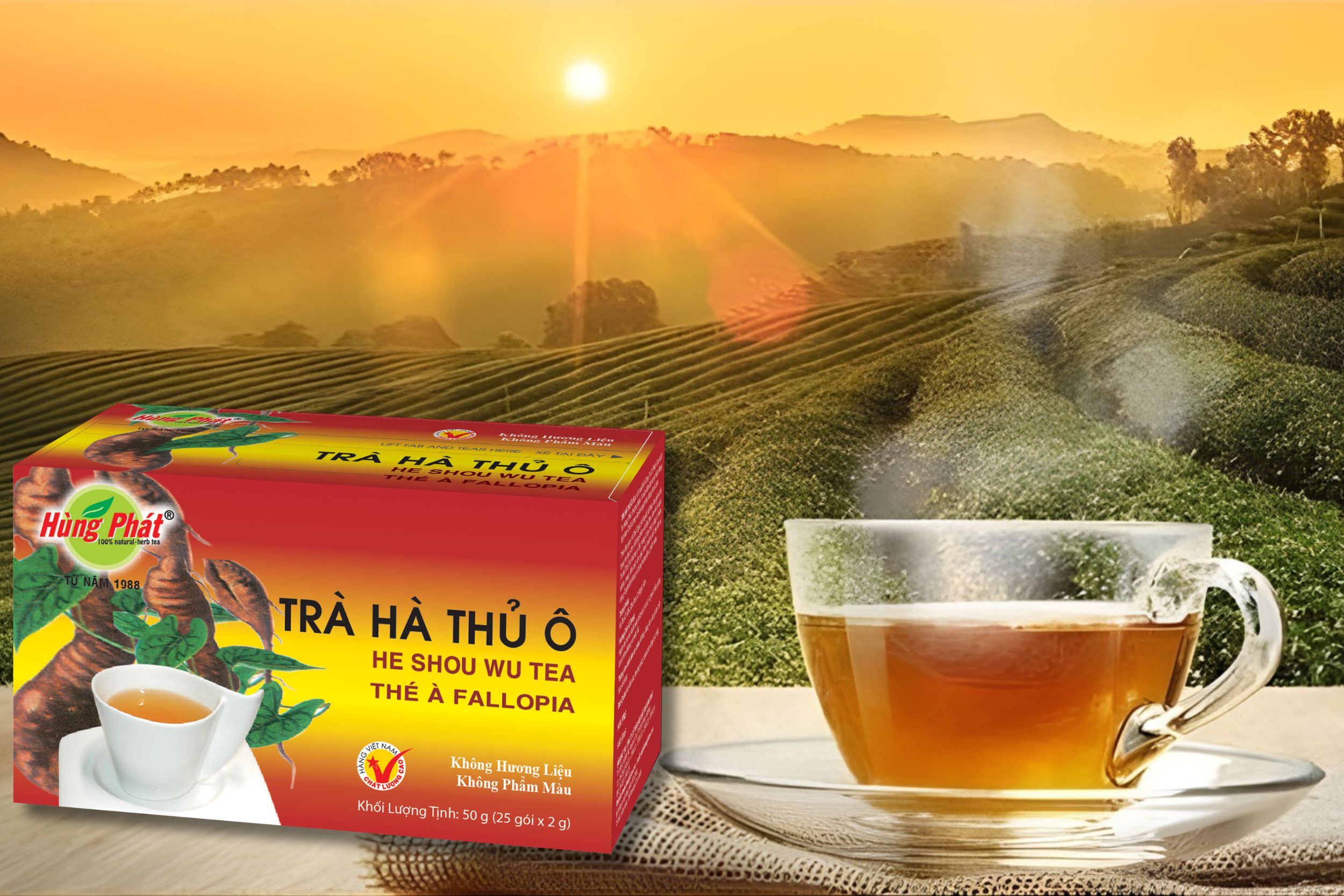 Ai Nên Uống Trà Hà Thủ Ô Hằng Ngày?