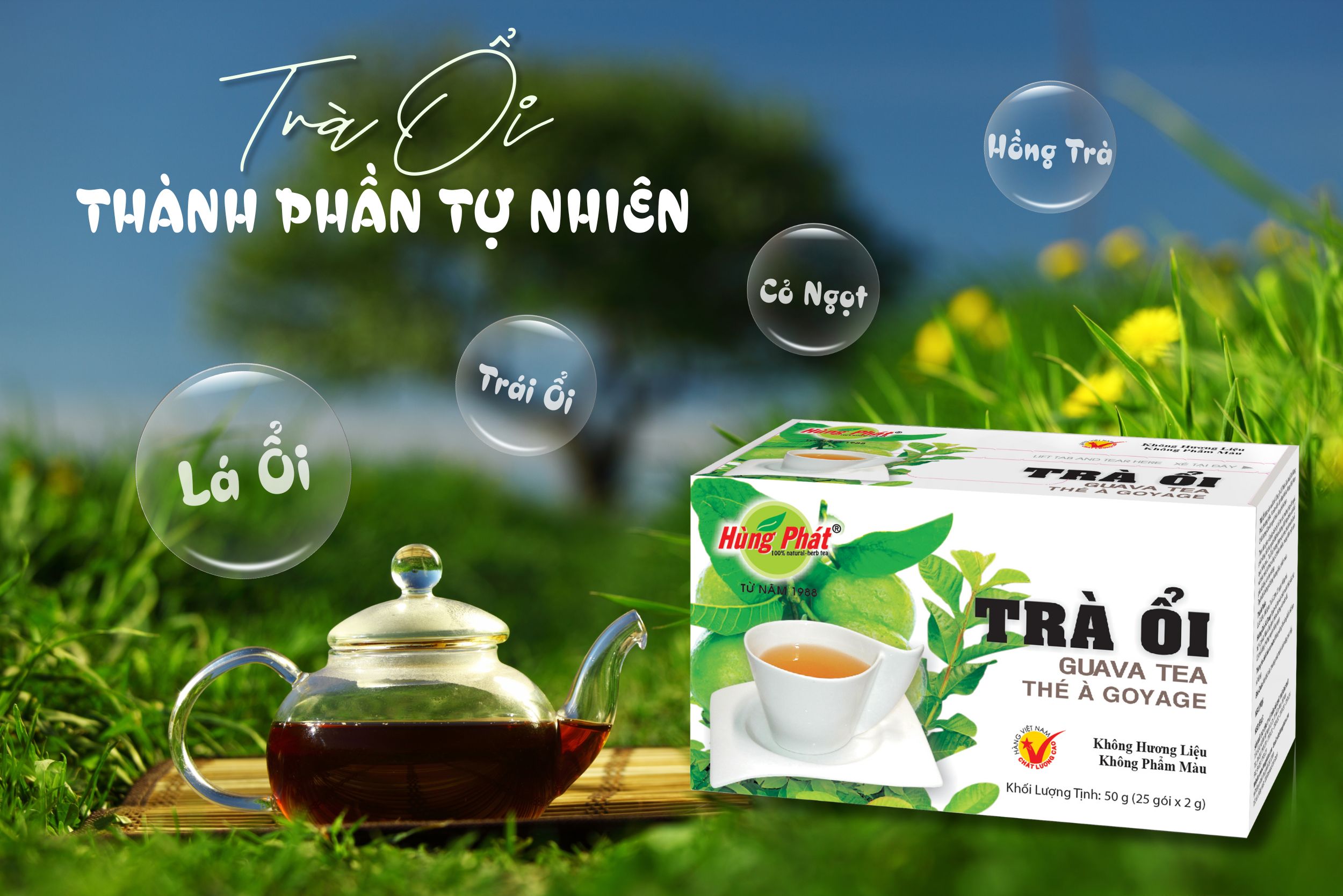 Giải Pháp Nhẹ Nhàng Khi Mệt Mỏi – Một Tách Trà Ổi Cho Tâm Hồn An Yên