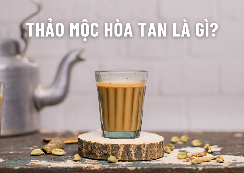 Thảo Mộc Hòa Tan là gì? Lý do Thảo Mộc Hòa Tan được nhiều người yêu thích và lựa chọn